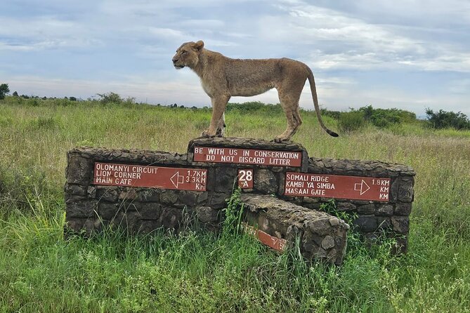 Nairobi National Park Safari