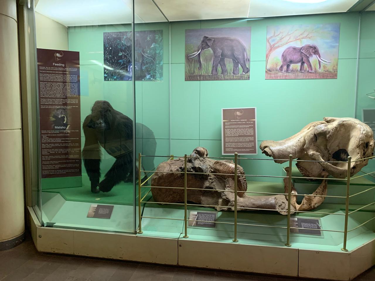 Cultural Heritage & Museums